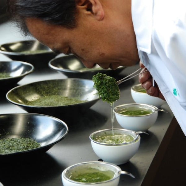 森半 八十八夜煎茶 (木盒裝)│Morihan 88th Night Sencha Tea Bags (Boxset)