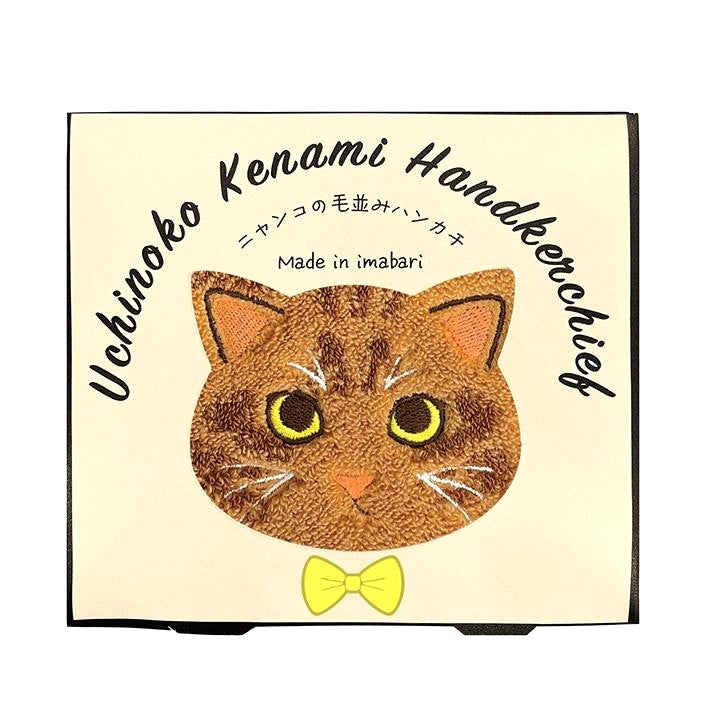今治貓咪毛感手巾小禮盒 │Imabari Furry Cat Towel Gift Set