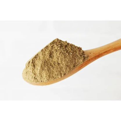 森半日本焙茶粉│MoriHan Houjicha Powder