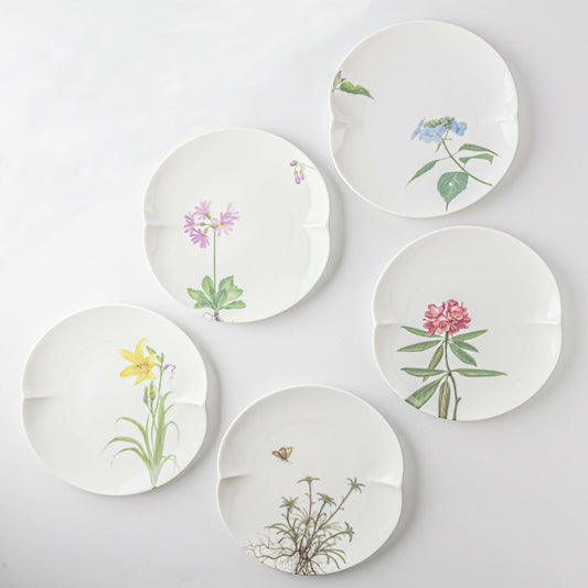 Miyama 谷川岳高山植物圖鑑餐碟套裝│Miyama Alpine Flora Collection Plate Set
