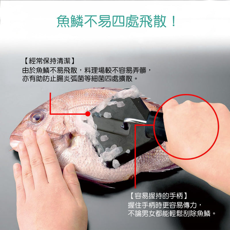 日本燕三条 魚鱗刮除器│Tsubame-Sanjo Fish Scaler