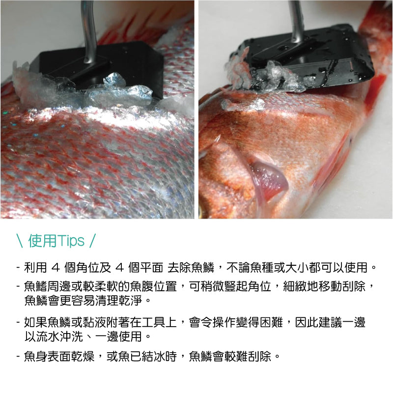日本燕三条 魚鱗刮除器│Tsubame-Sanjo Fish Scaler