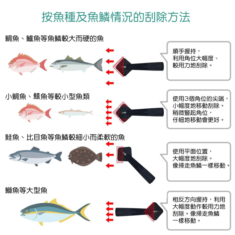 日本燕三条 魚鱗刮除器│Tsubame-Sanjo Fish Scaler