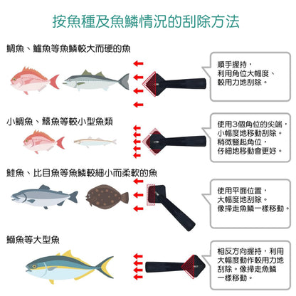 日本燕三条 魚鱗刮除器│Tsubame-Sanjo Fish Scaler