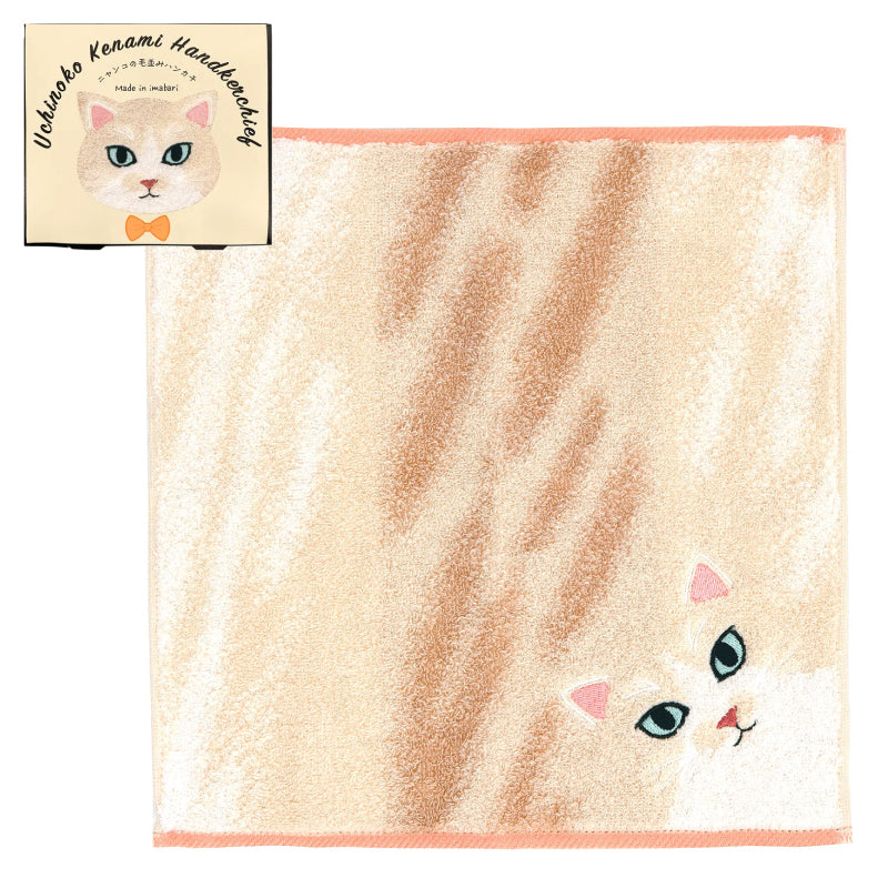 今治貓咪毛感手巾小禮盒 (7款選擇)*Imabari Furry Cat Towel Gift Set (7-option)