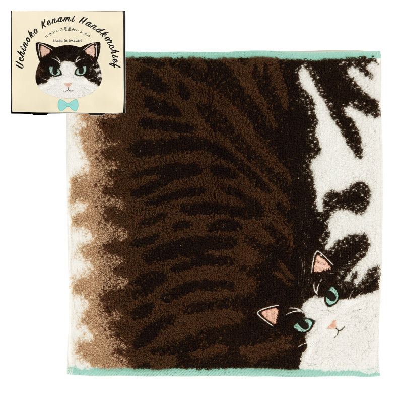 今治貓咪毛感手巾小禮盒 (7款選擇)*Imabari Furry Cat Towel Gift Set (7-option)
