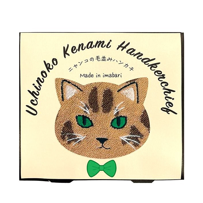 今治貓咪毛感手巾小禮盒 │Imabari Furry Cat Towel Gift Set 