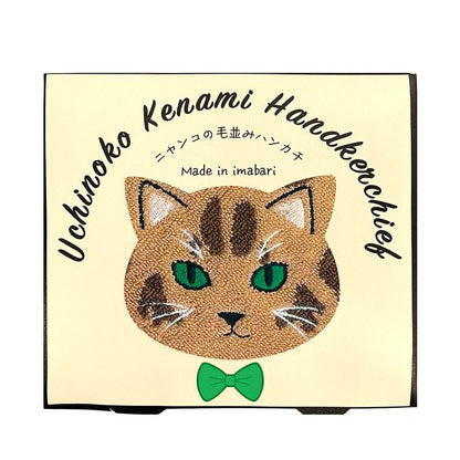 今治貓咪毛感手巾小禮盒 │Imabari Furry Cat Towel Gift Set 