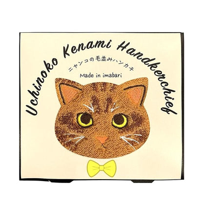 今治貓咪毛感手巾小禮盒 │Imabari Furry Cat Towel Gift Set 