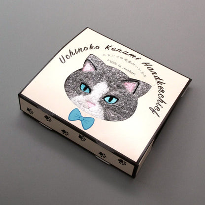 今治貓咪毛感手巾小禮盒 │Imabari Furry Cat Towel Gift Set 